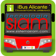 iBus Alicante
