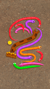 Snake Knot: Sort Puzzle Game