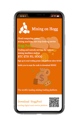 Hogg Screen 3