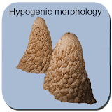 Hypogenic  Morphology  Caves icon