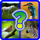 Guess the pictures quiz game-Words trivia master