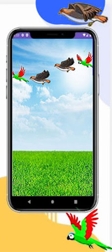Rakhine Bird Shot Screen 2