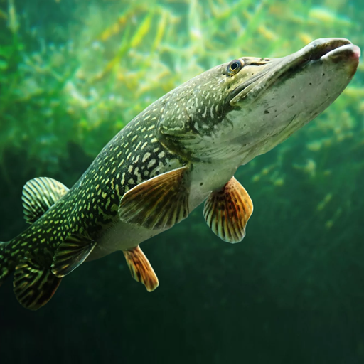 The Pike logo