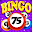 Bingo Craze Download on Windows