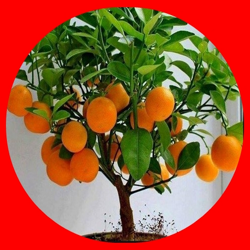 plant Hybrids logo