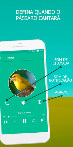 Canary bird singing Screen 2