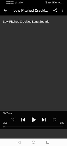 Breath Sounds Professional