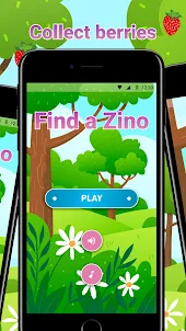 Find a Zino