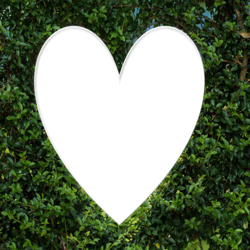 Africa Love Calculator logo