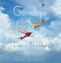 Icon image Goodbye for Now: A Novel