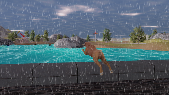 Boxer Dog Simulator 1.1.1 screenshots 7