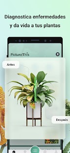 PictureThis Identify the Plant Screen View