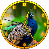 Peacock Clock icon
