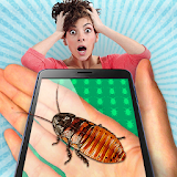 Cockroach on hand simulator icon