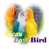 Kicau LoveBird icon