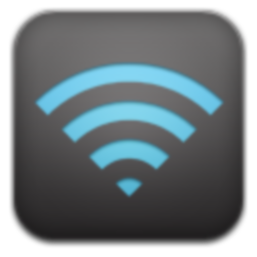 WiFi Settings (dns,ip,gateway)  Icon