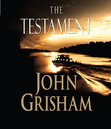 图标图片“The Testament: A Novel”