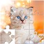 Jigsaw Puzzle Mania: Mind Game