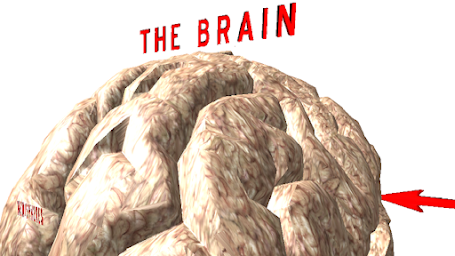 The Brain VR