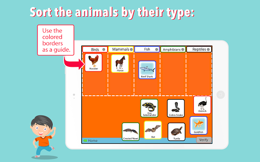 Animal Kingdom - Vertebrates -