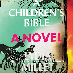 Icon image A Children's Bible: A Novel