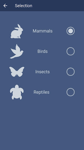 Screenshot of Animalia
