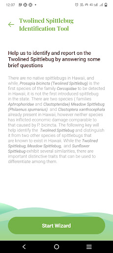 Twolined Spittlebug Tool Screen 2