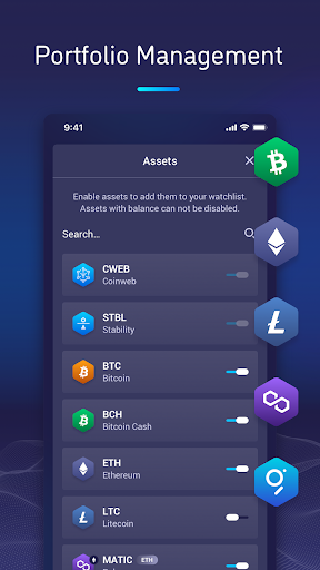 Screenshot of Coinweb Wallet