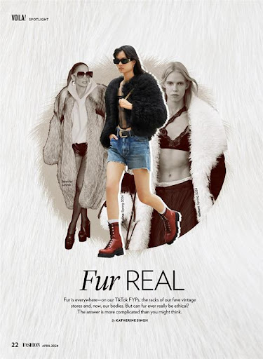 Screenshot of FASHION Magazine