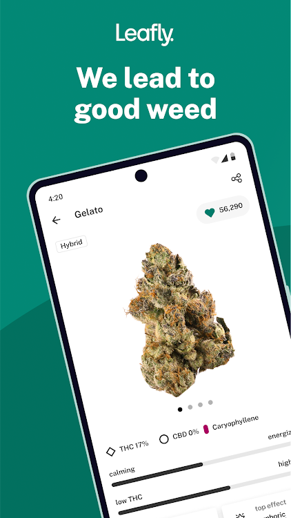 Leafly: Find Cannabis and CBD - 8.3.2 - (Android)