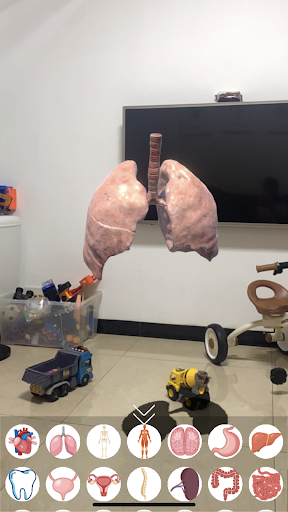 AR Human Organs