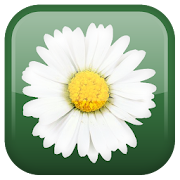 Top 40 Personalization Apps Like Daisy Flower Live Wallpaper - Best Alternatives