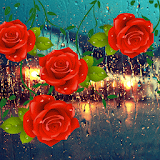 Roses Love Drops icon