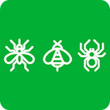 Anti Insects icon
