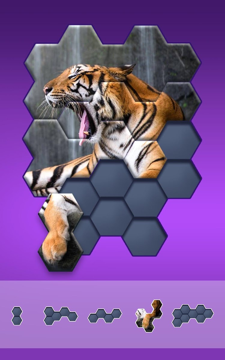 Hexa Jigsaw Puzzle  Featured Image for Version 