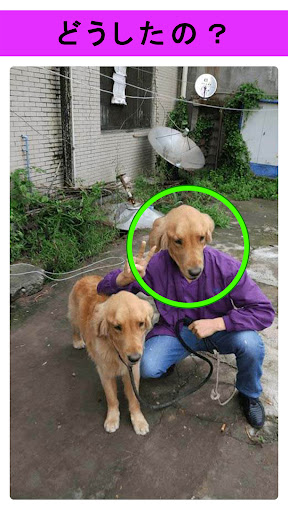 Whats Wrong? Find The Mistakes In The Pictures