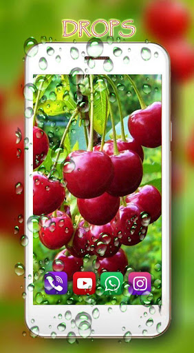 Berries Juicy Live Wallpaper