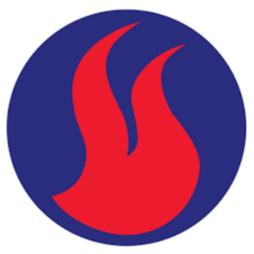 NBS Agency Banking App logo