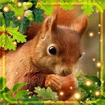 Cover Image of Télécharger Squirrel Forest Wallpaper  APK