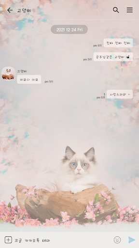 카카오톡 테마 - 미모 뿜뿜 고양이 Screen 3