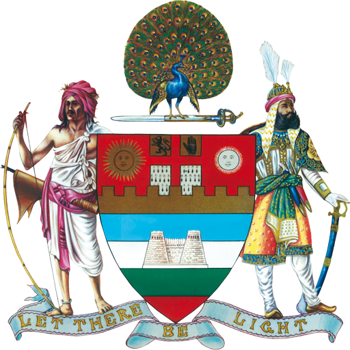 MAYO 2023 logo