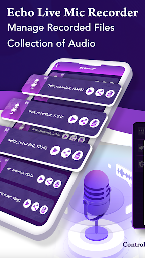 Echo-Live Mic Recorder Screen 3