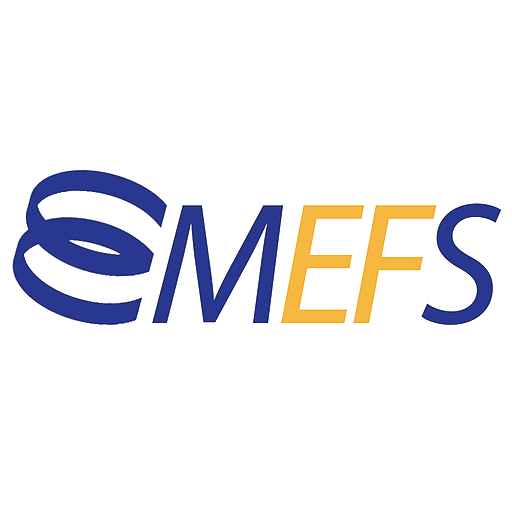 Minnesota Executive Function S logo