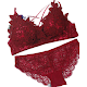 Buy womens bra , underwear Download on Windows