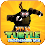 Ninja Turtle Underground run icon