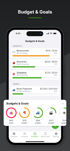 Balance Pro: Budget & Spending Screen 3