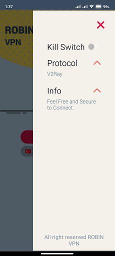 Robin VPN Screen 3