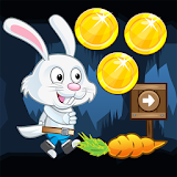 Rabbit run adventure icon