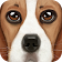 Ultimate Dog Simulator icon