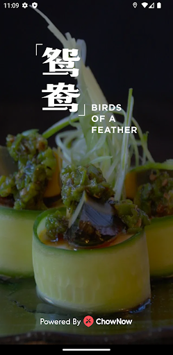 Android application Birds of a Feather screenshort